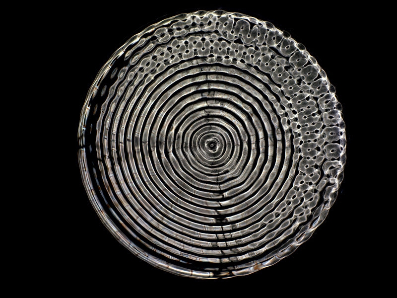 Liquid Light Symphony: A Visual Journey through Einstein's General Theory