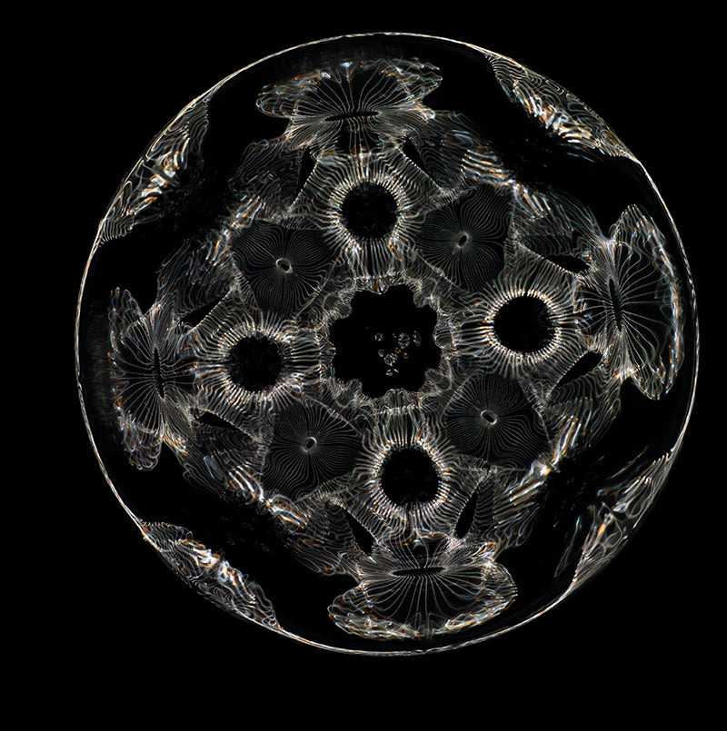 Einstein's Insights: Gravitational Waves Revealed in Cymatics Artistry