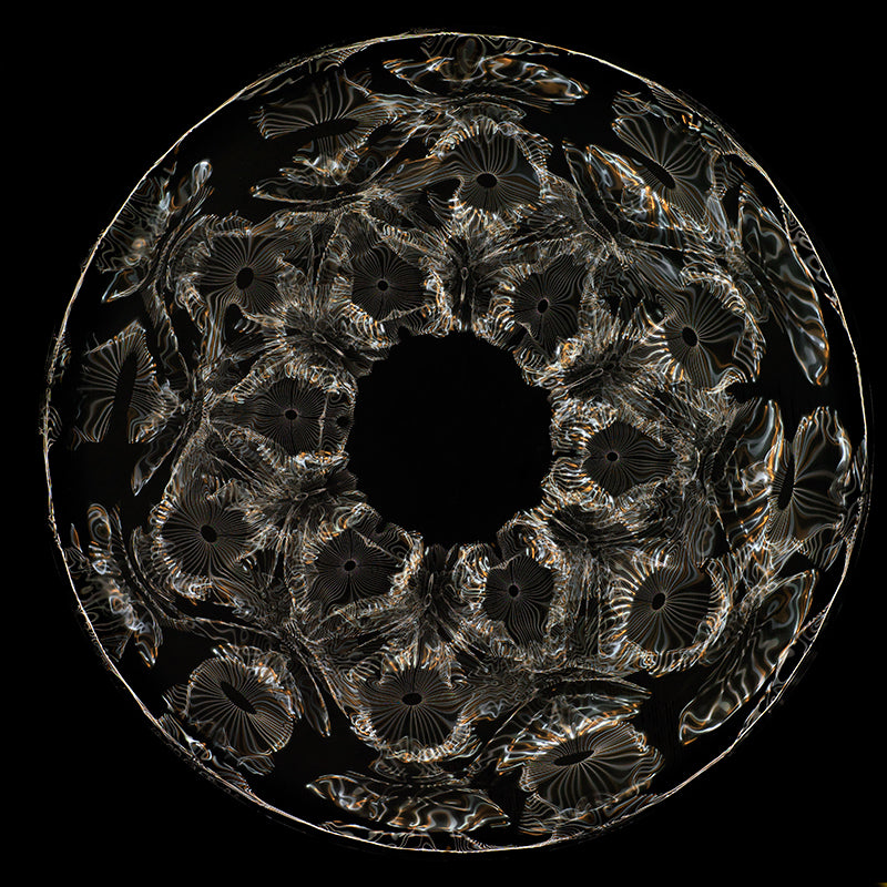 Einstein's Universe Unveiled: Gravitational Waves and Cymatics Photography