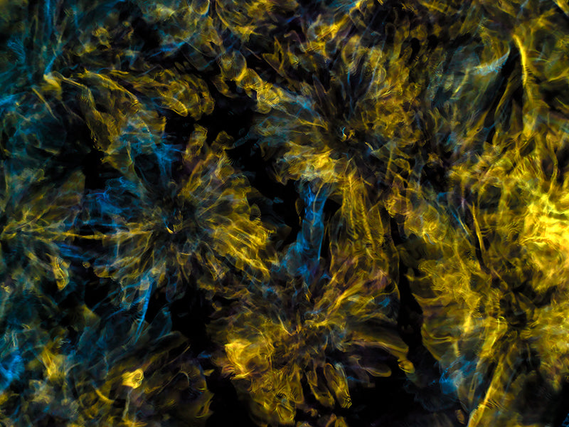 Creative Cosmos Connection: Cymatics Photography and Gravitational Waves