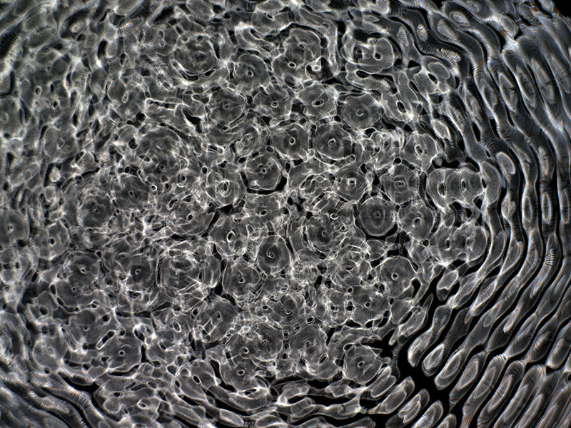 Cinematic Tapestry of space Gravitational Waves Woven into Cymatics Photography