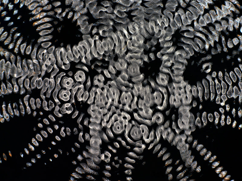Cinematic Spectacle: Gravitational Waves Transformed in Cymatics Artistry