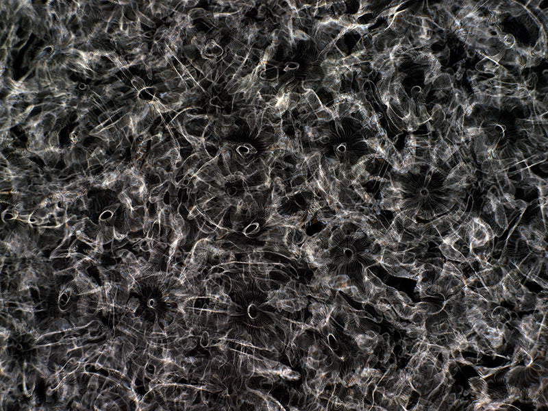 Cinematic Revelation: Gravitational Waves Rediscovered in Cymatics Photography