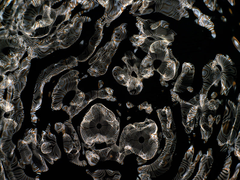 Visual imagery: Gravitational Waves in Cymatics Photography Showcase