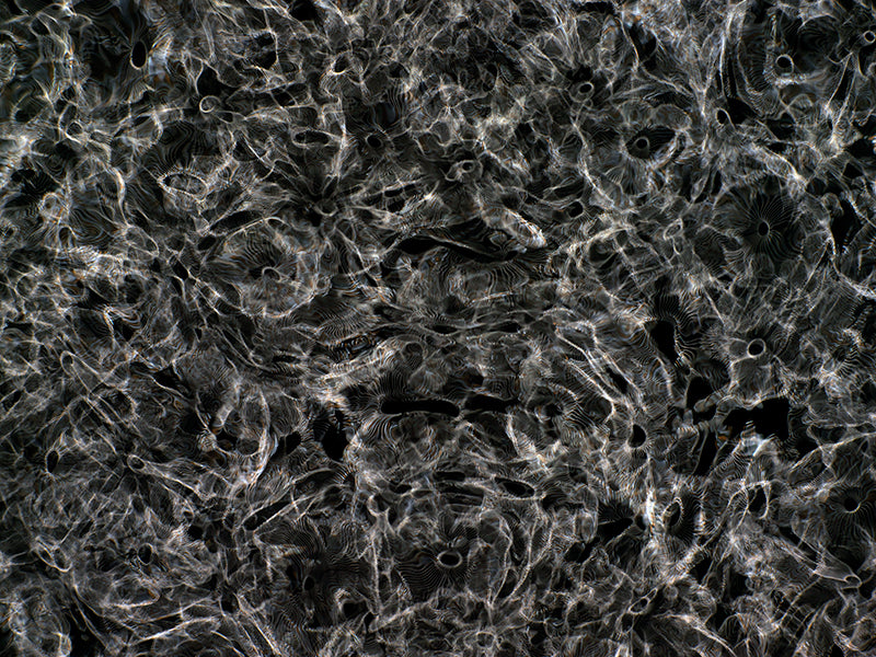 Artistic Fusion: Gravitational Waves Transformed in Cymatics Photography