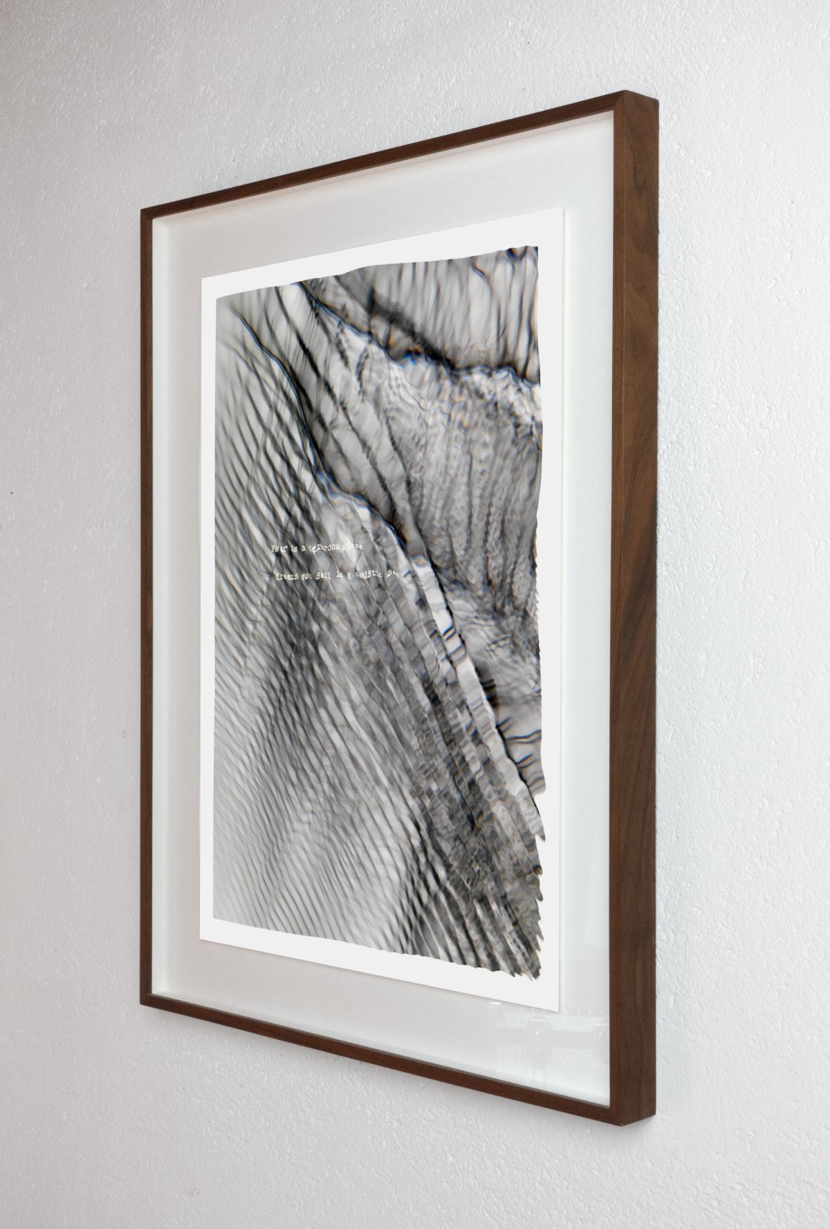 Fear is a darkroom (plate 0317)