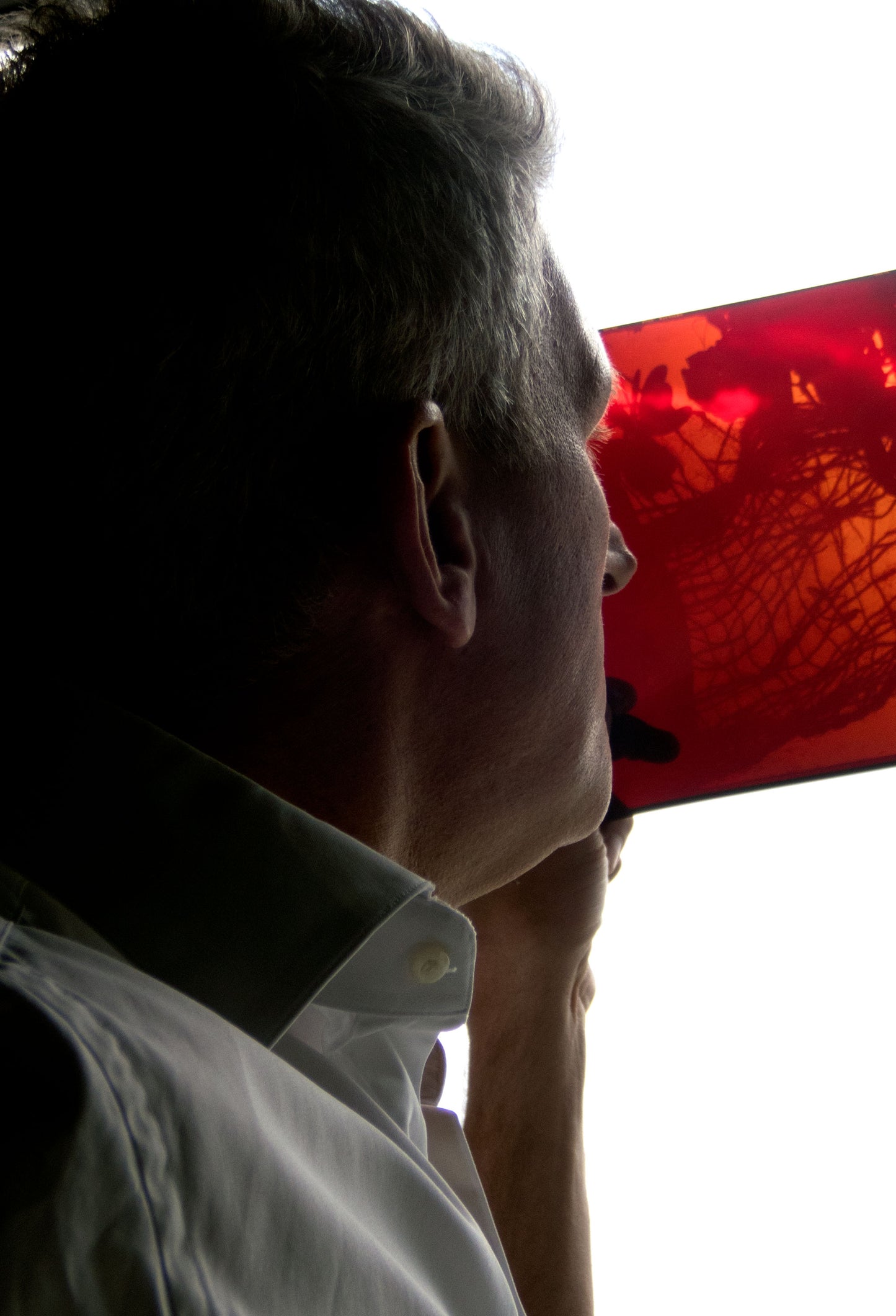 8 x 10 inch PhotoGram, Plate 0100