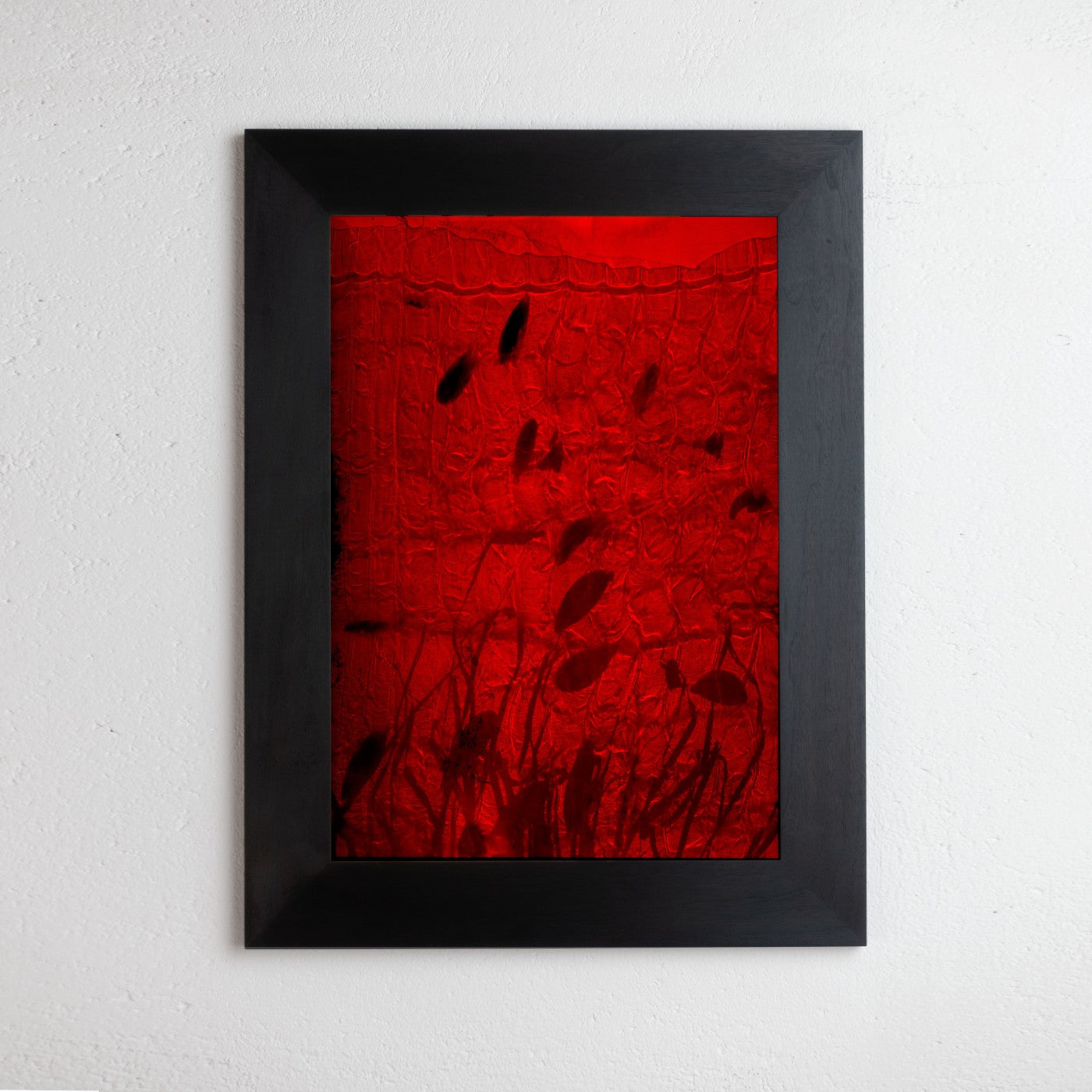 8 x 10 inch PhotoGram, Plate 0117, direct analogue PhotoGram by Alexander James Hamilton