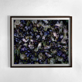 Framing and presentation detail for All icons are false No. 009-8, analogue photographic work by Alexander James Hamilton