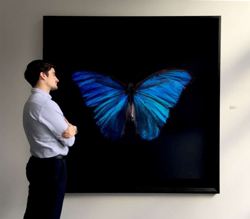 Studio installation view of Morpho Amathonte 0220 (AP II), underwater analogue butterfly photograph by Alexander James Hamilton