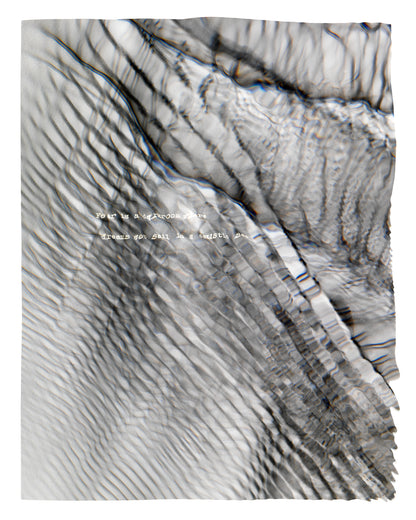 Fear is a darkroom (plate 0317)