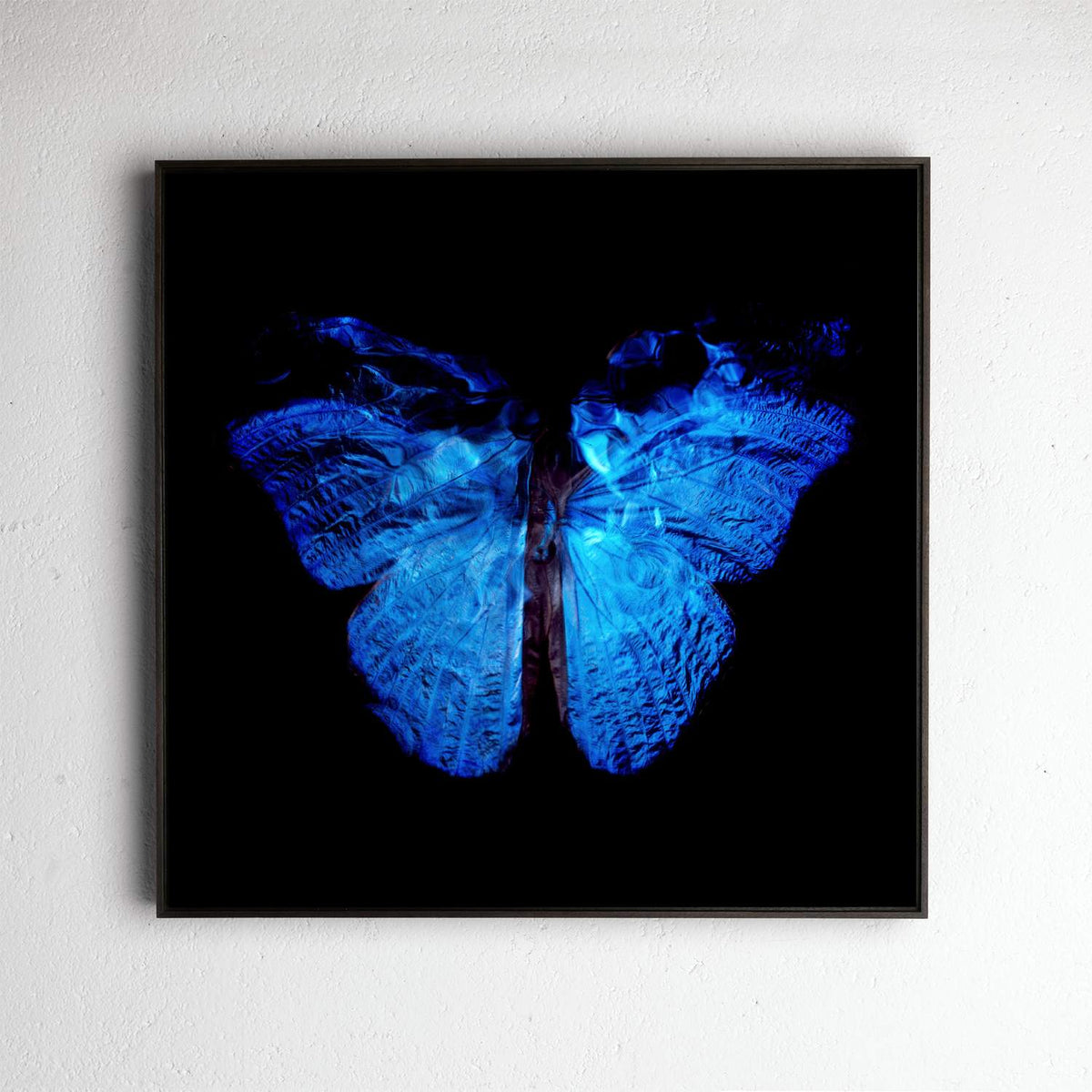 Transparency of a dream No.0813-015, underwater analogue butterfly photograph by Alexander James Hamilton