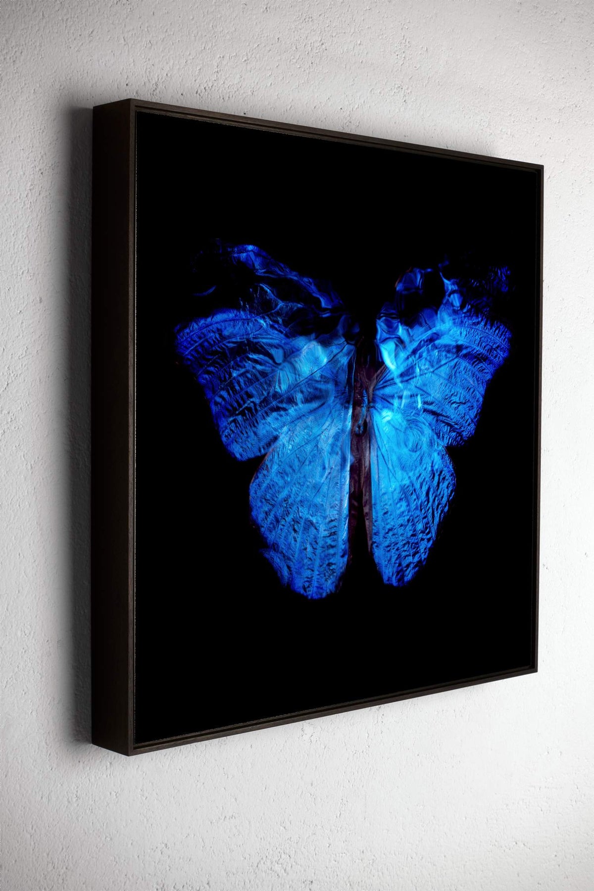 Left side view of Transparency of a dream No.0813-015, underwater analogue butterfly photograph by Alexander James Hamilton