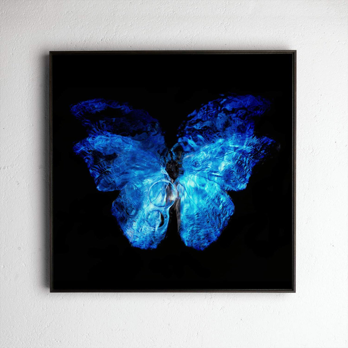 Transparency of a dream No. 0813-21, underwater analogue butterfly photograph by Alexander James Hamilton