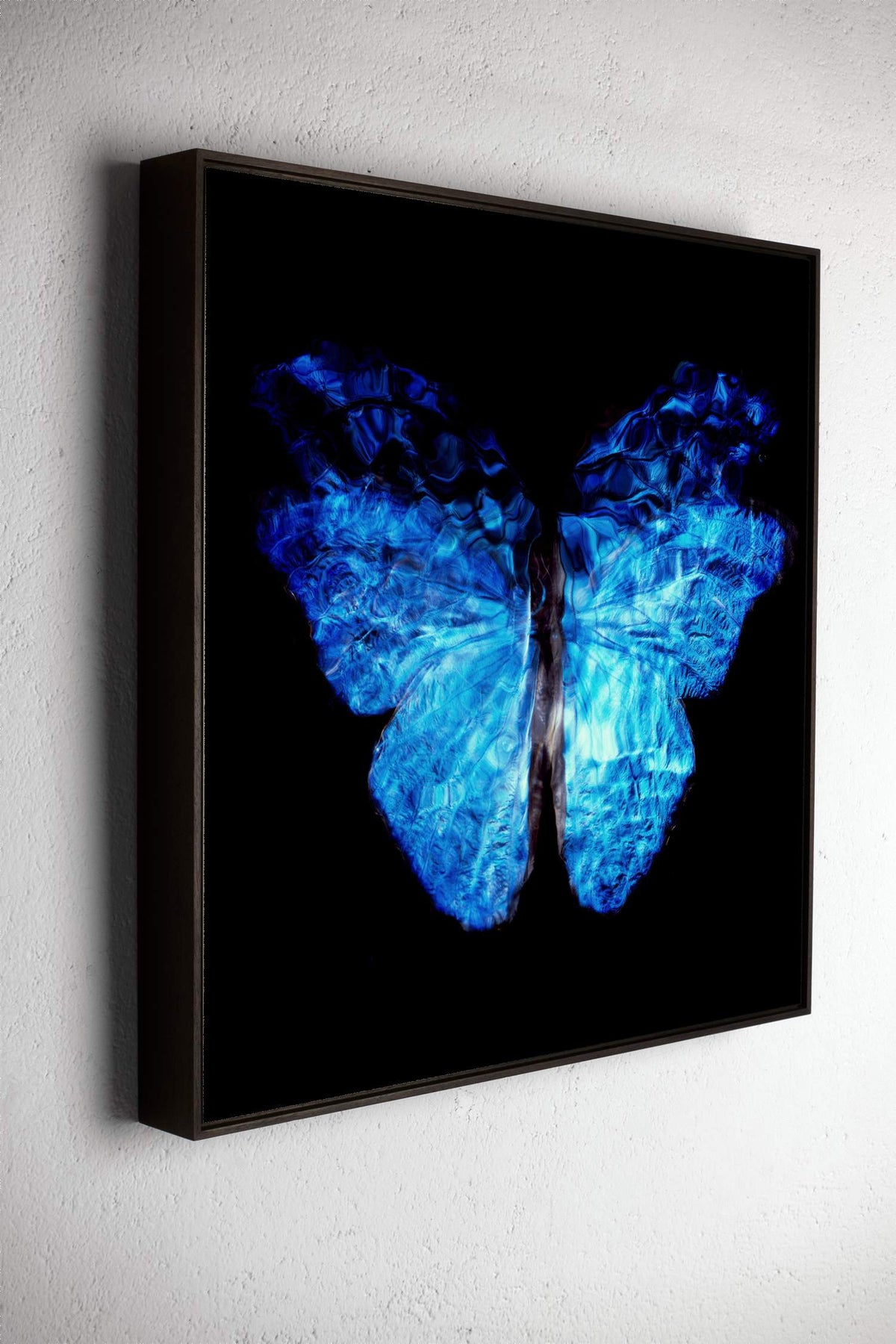 Left side view of Transparency of a dream No.0813-026, underwater analogue butterfly photograph by Alexander James Hamilton