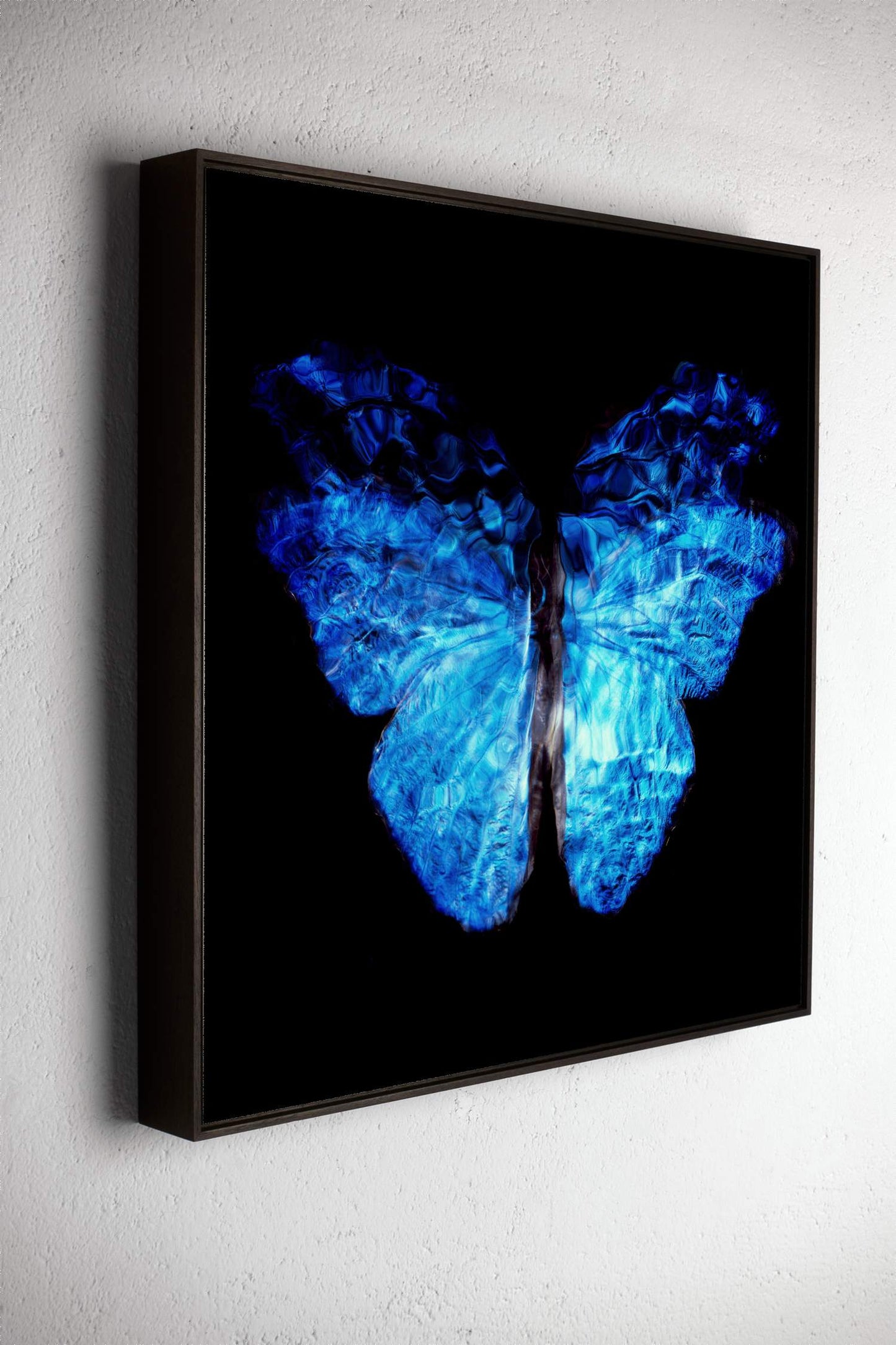 Transparency of a dream No.0813-026