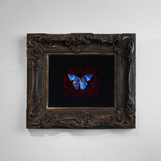 Morpho, Blood & Water - No. II