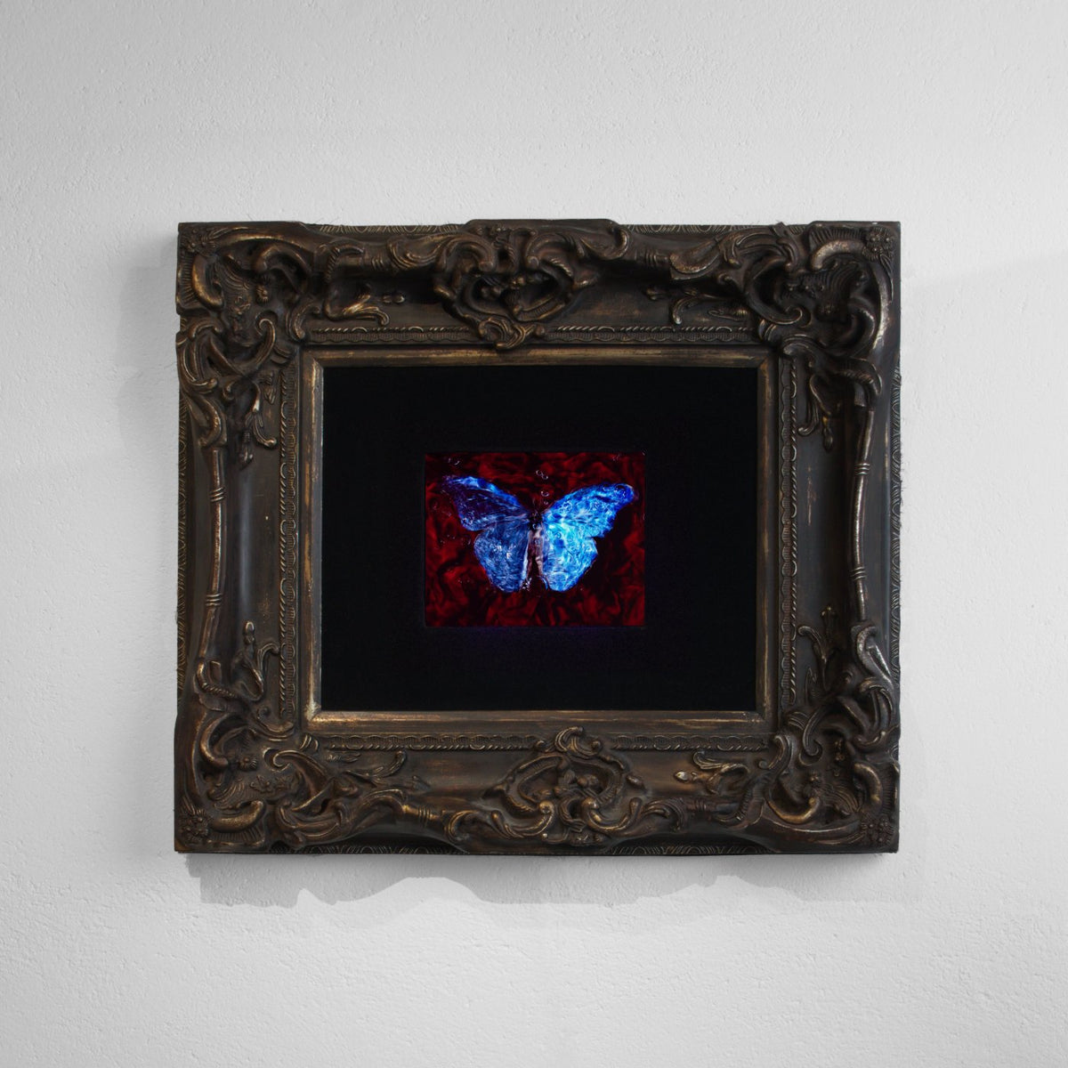 Morpho, Blood & Water - No. I, underwater analogue butterfly photograph by Alexander James Hamilton