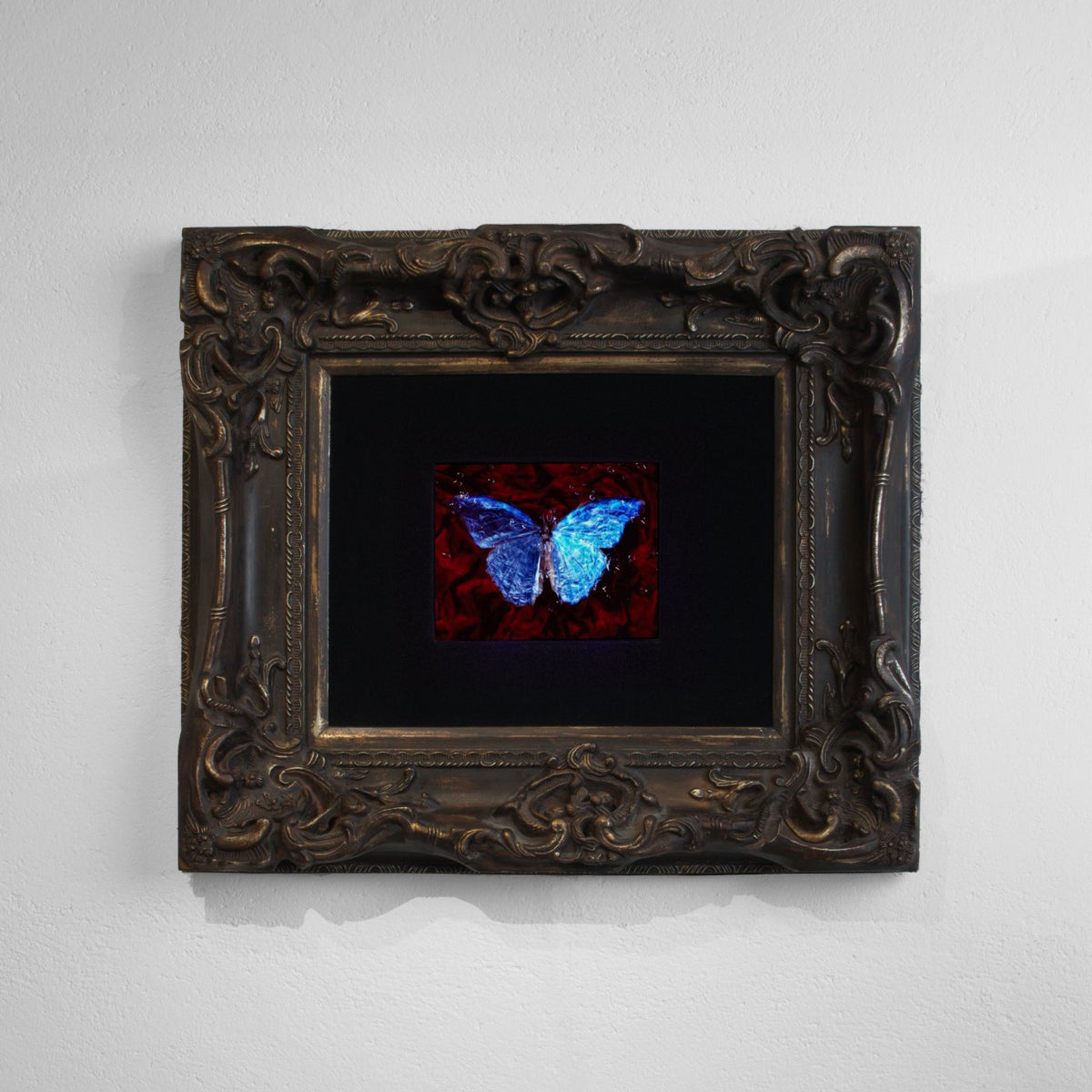 Morpho, Blood & Water - No. III, underwater analogue butterfly photograph by Alexander James Hamilton