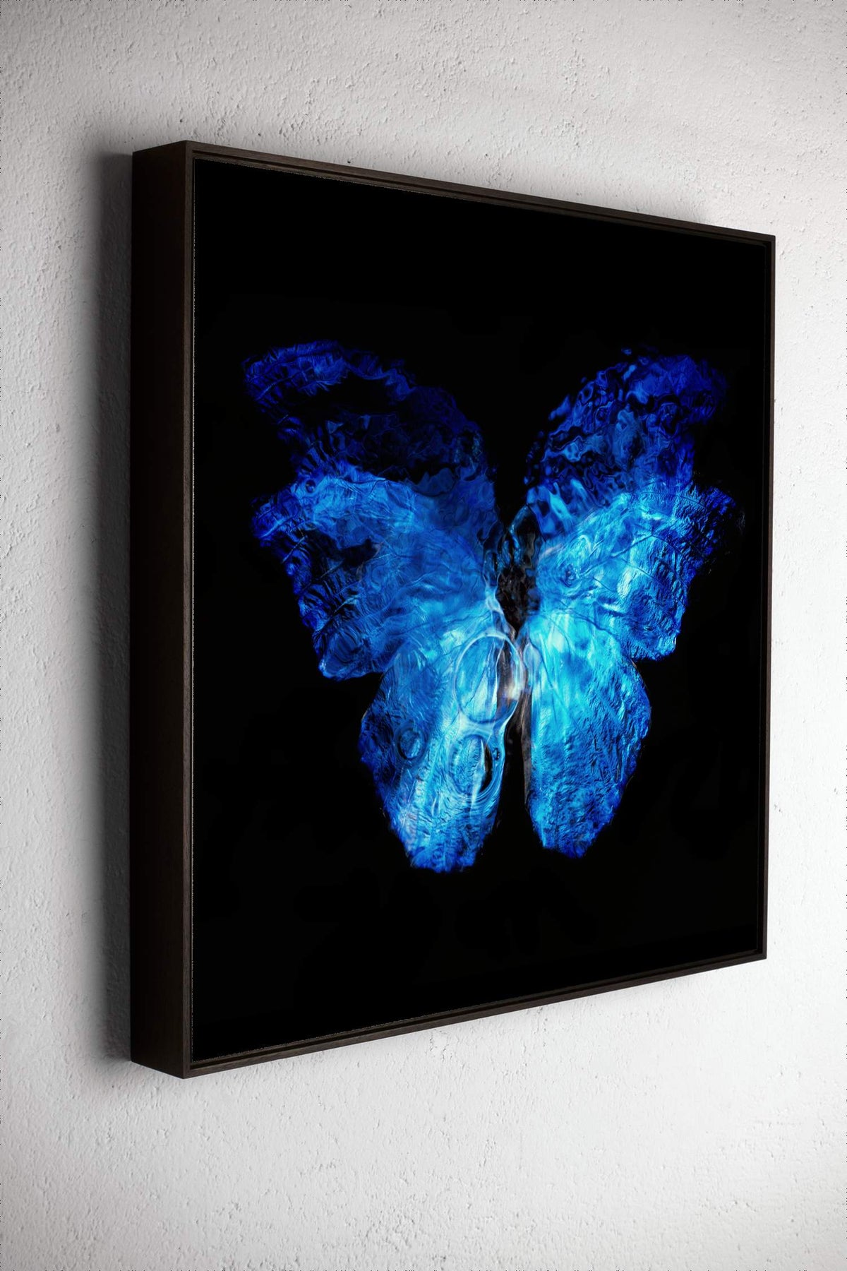 Left side view of Transparency of a dream No. 0813-21, underwater analogue butterfly photograph by Alexander James Hamilton