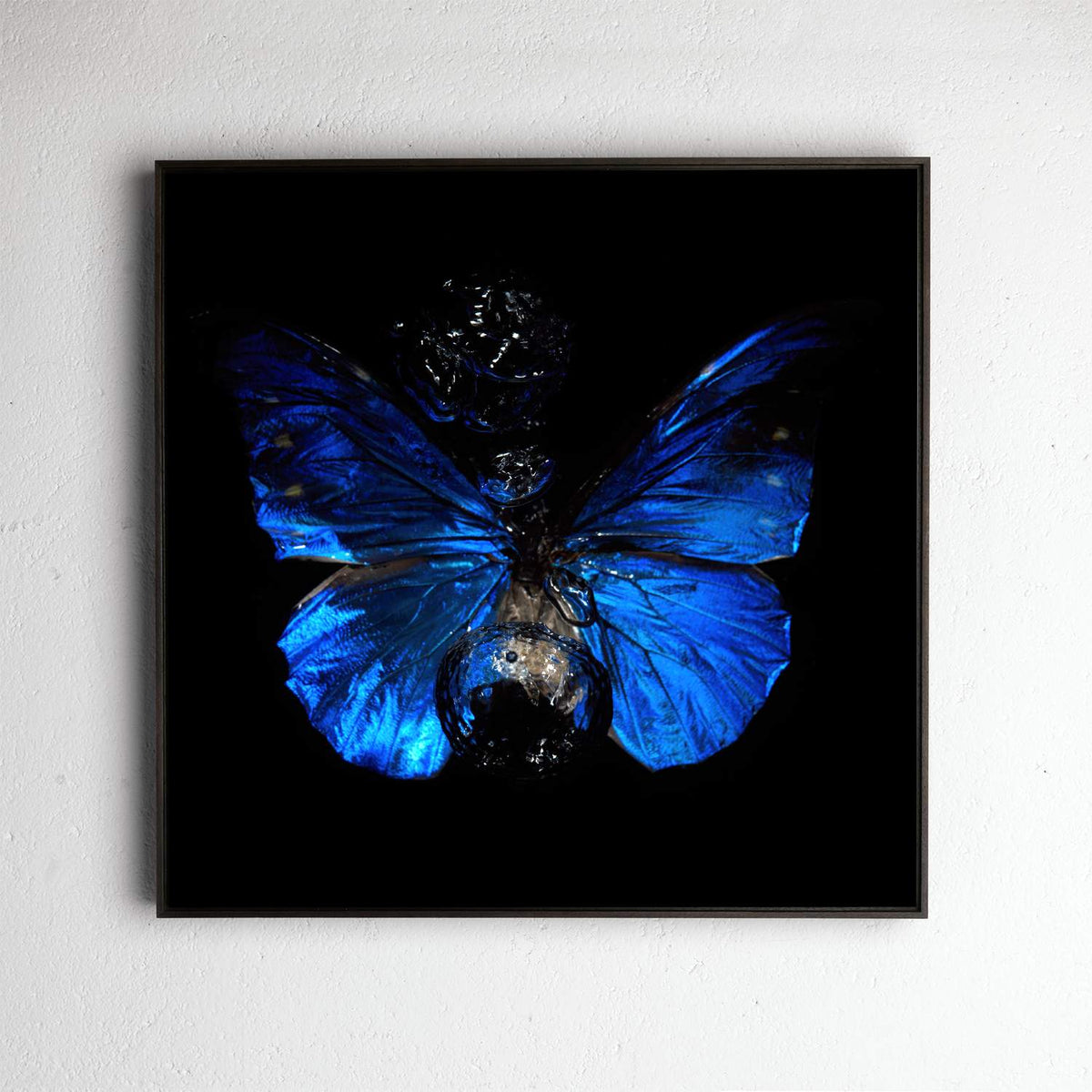 Transparency of a dream No. 8-0857, underwater analogue butterfly photograph by Alexander James Hamilton