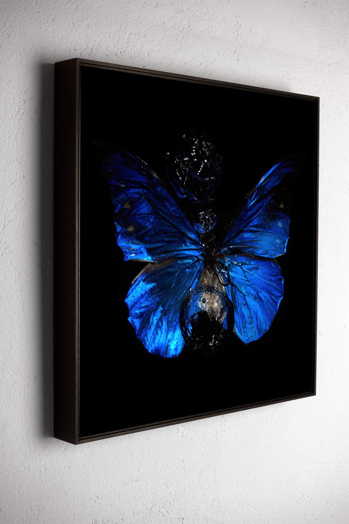 Left side view of Transparency of a dream No. 8-0857, underwater analogue butterfly photograph by Alexander James Hamilton