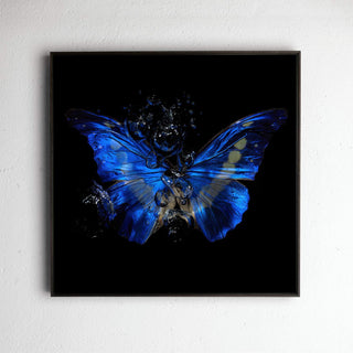 Transparency of a dream No. 8-0856, underwater analogue butterfly photograph by Alexander James Hamilton