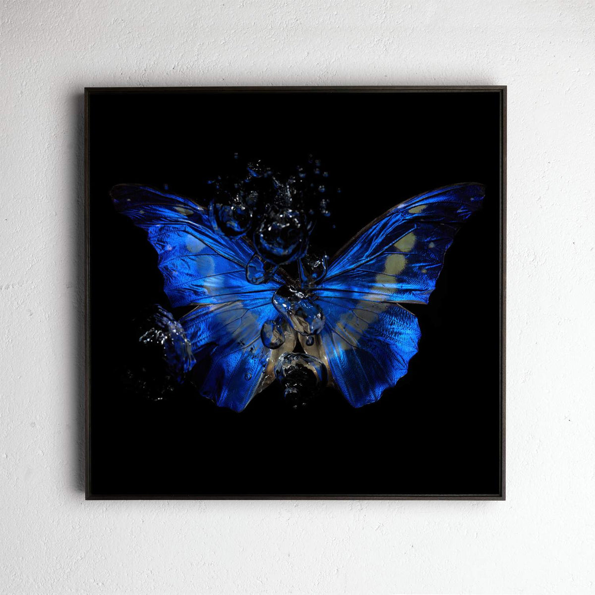 Transparency of a dream No. 8-0856, underwater analogue butterfly photograph by Alexander James Hamilton
