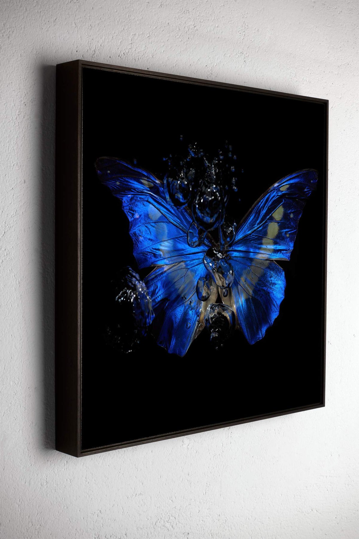 Left side view of Transparency of a dream No. 8-0856, underwater analogue butterfly photograph by Alexander James Hamilton
