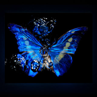 Detail view of Transparency of a dream - No I., underwater analogue butterfly photograph by Alexander James Hamilton