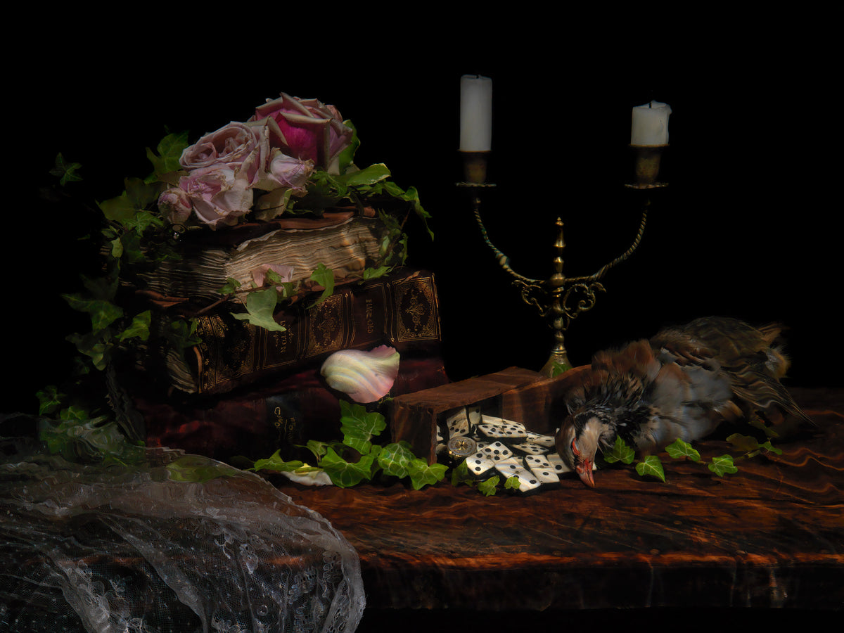 Additional view of Untitled Plate 5253, underwater analogue still life photograph by Alexander James Hamilton