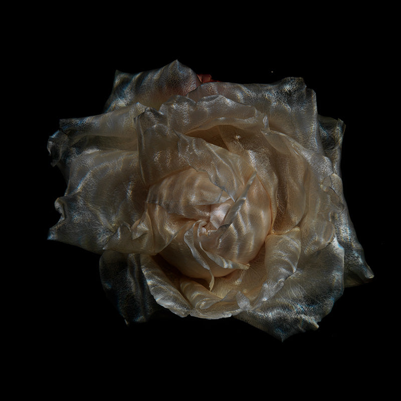 Crystal Clear Bloom Whimsy Harmonious Submerged Flora Array