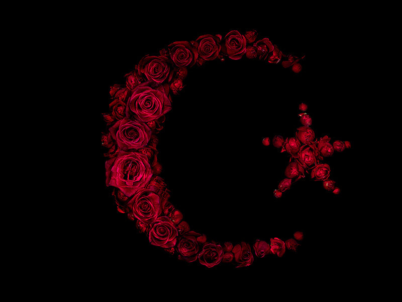 Media in Bloom Single Floral Specimens Embodying Global Brands