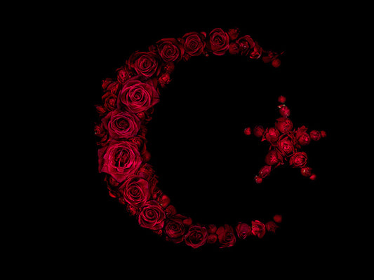 Media in Bloom Single Floral Specimens Embodying Global Brands