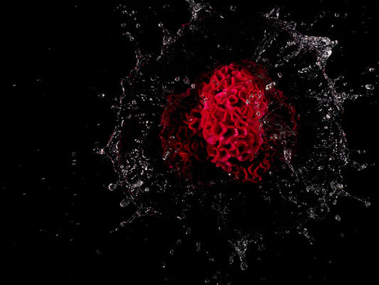 artist exploring water energy and decisive moment of capture with a camera