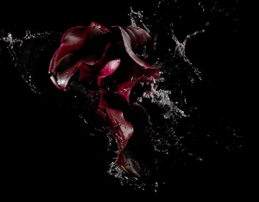 using lilies in art historical photography with water symbolism