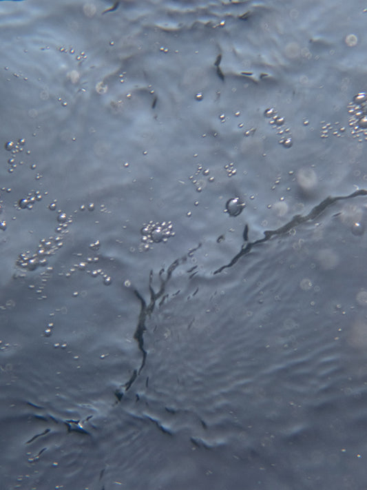 organic forms created within water bubbles