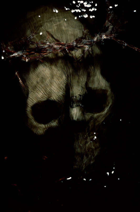 the human skull and its symbology in art underwater