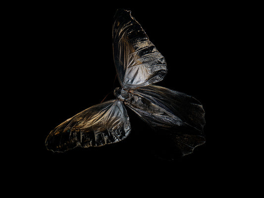 Ethereal Elegance: Reflections on Life and Mortality in Aqua Art