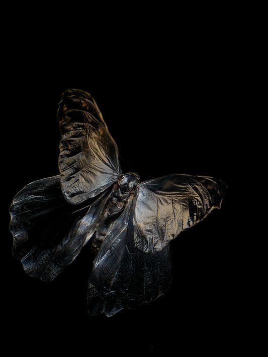 Aqueous Metamorphosis: Submerged Butterflies in Liquid Tranquility