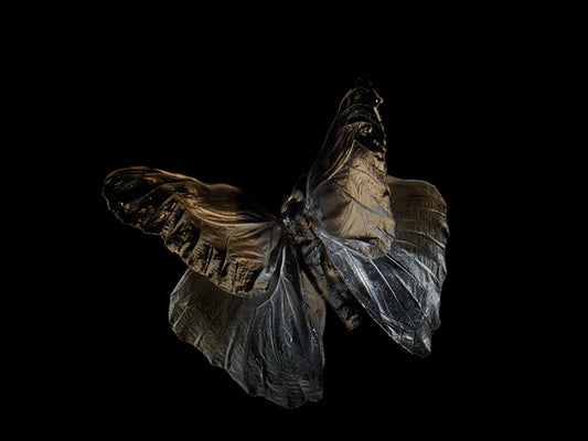 Transient Beauty: Butterfly Breeding in Visual Reflections