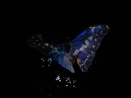 Aquatic Allegory: Morpho Didius & Menelaus Below the Water's Edge