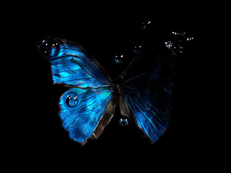 Whirlwind of Wings: Morpho blue butterfly Underwater Bubble Ballet