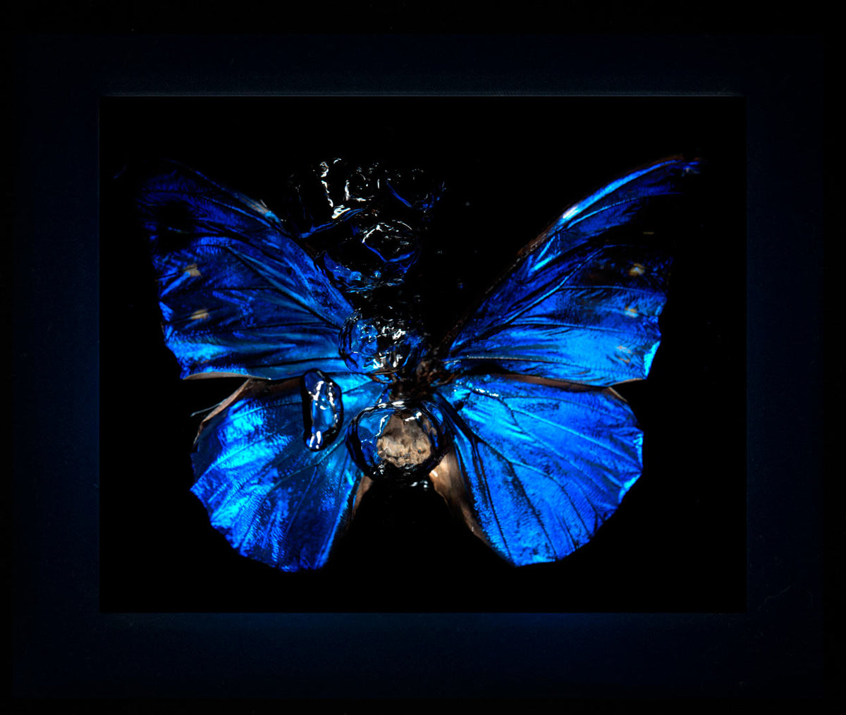 Detail view of Transparency of a dream - No III., underwater analogue butterfly photograph by Alexander James Hamilton