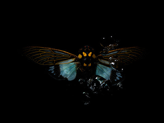 Harmony of Hues: Ethereal Beetles Dancing Underwater