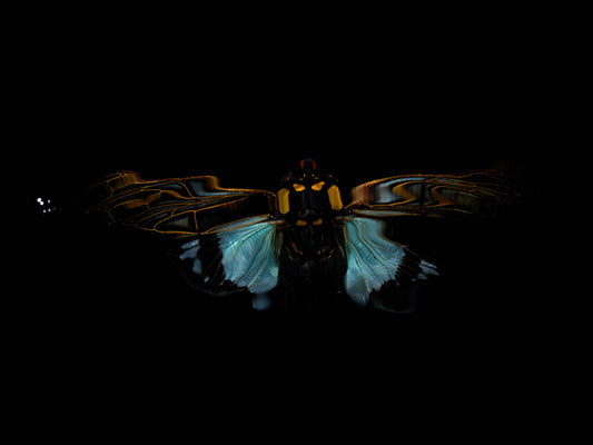 Reflecting Tranquility: Flying Beetles in Liquid Dreams