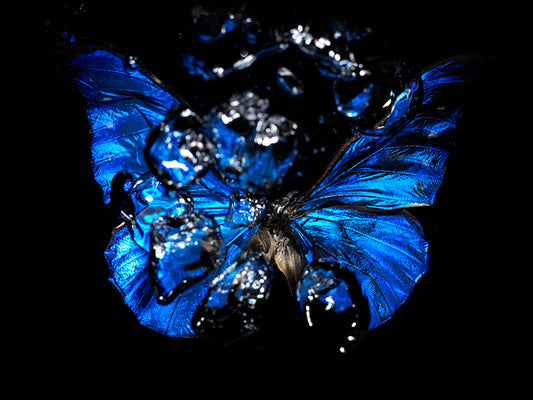 Choreography of Life: Underwater Butterfly Ballet