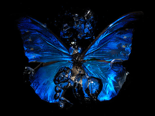 Dancing Shadows: A Modern Vanitas Below the Surface