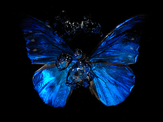 Liquid ballet dance: Underwater Ballet of Butterfly Dreams