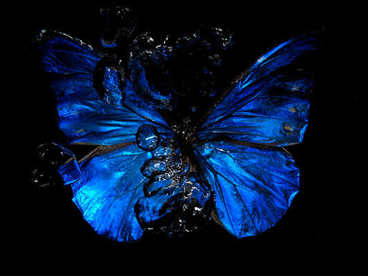 Drowning Beauty: Underwater Ballet of Tragic Elegance